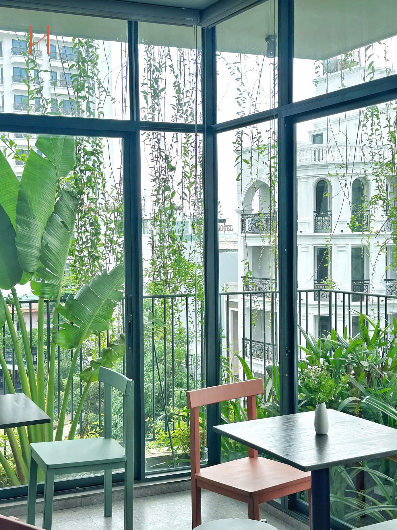 Hestia Café được thiết kế với nhiều cây xanh, ánh sáng tự nhiên cùng nhiều góc sống ảo đẹp mắt