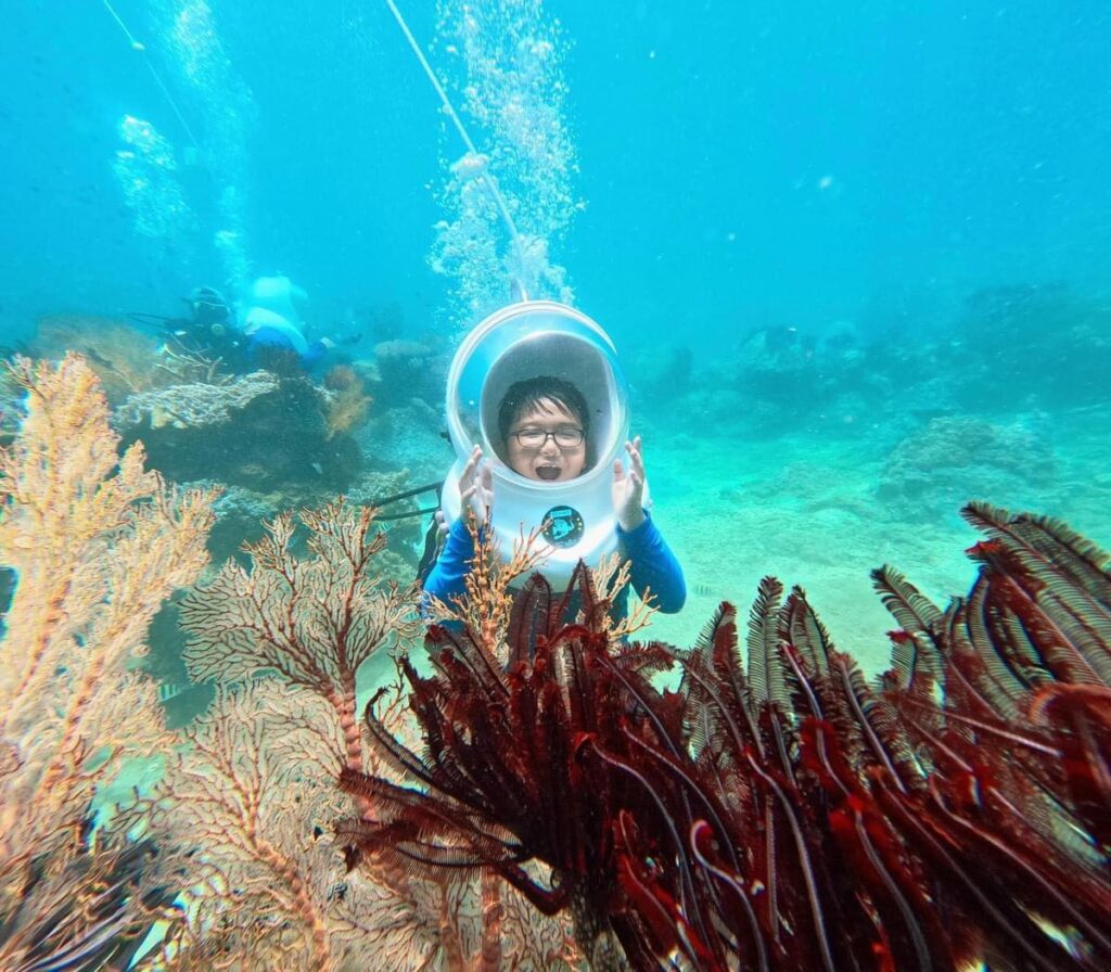 Ngắm san hô ở Bãi Dứa Quy Nhơn