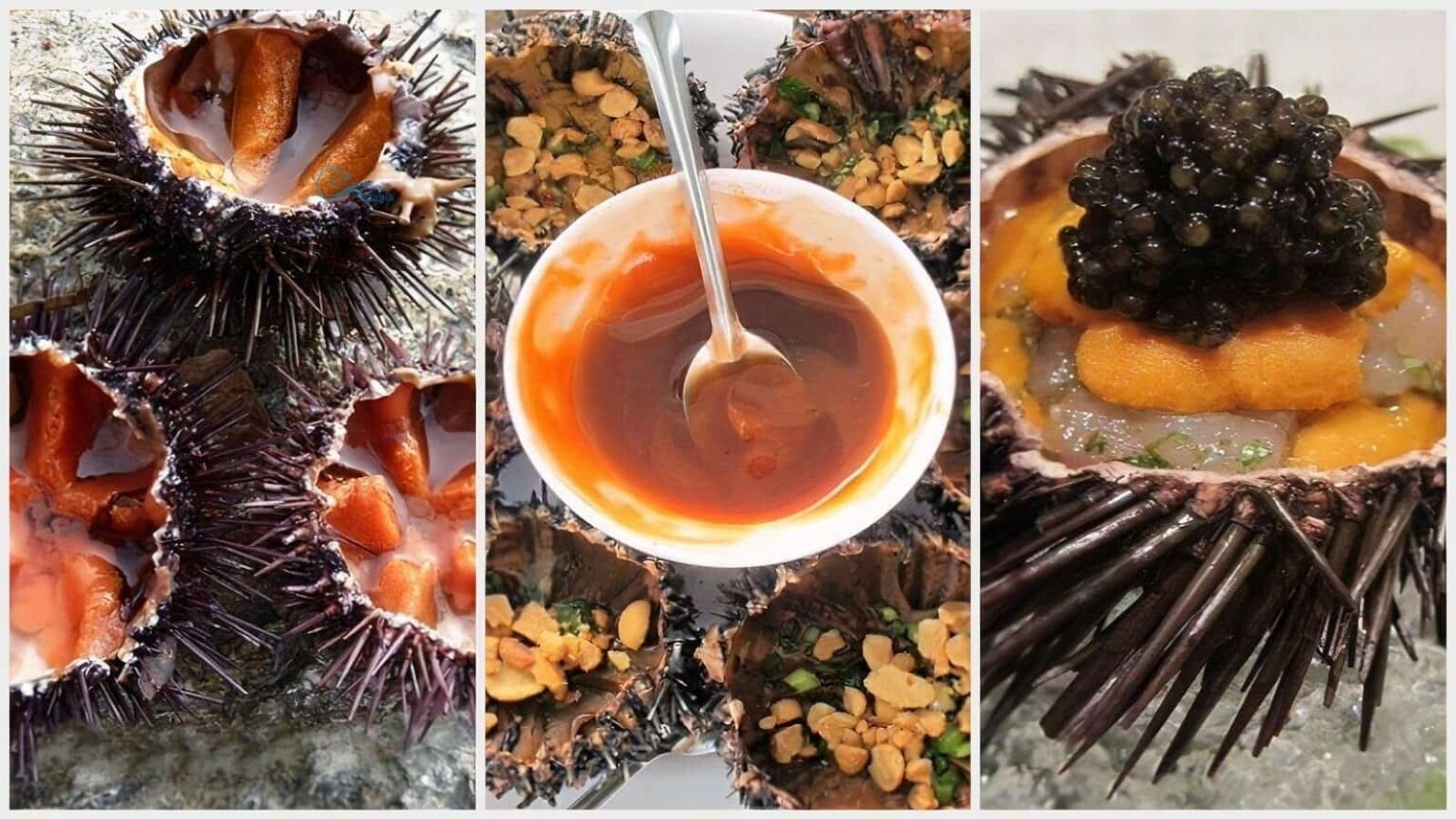 Mắm Nhum đặc sản Quy Nhơn