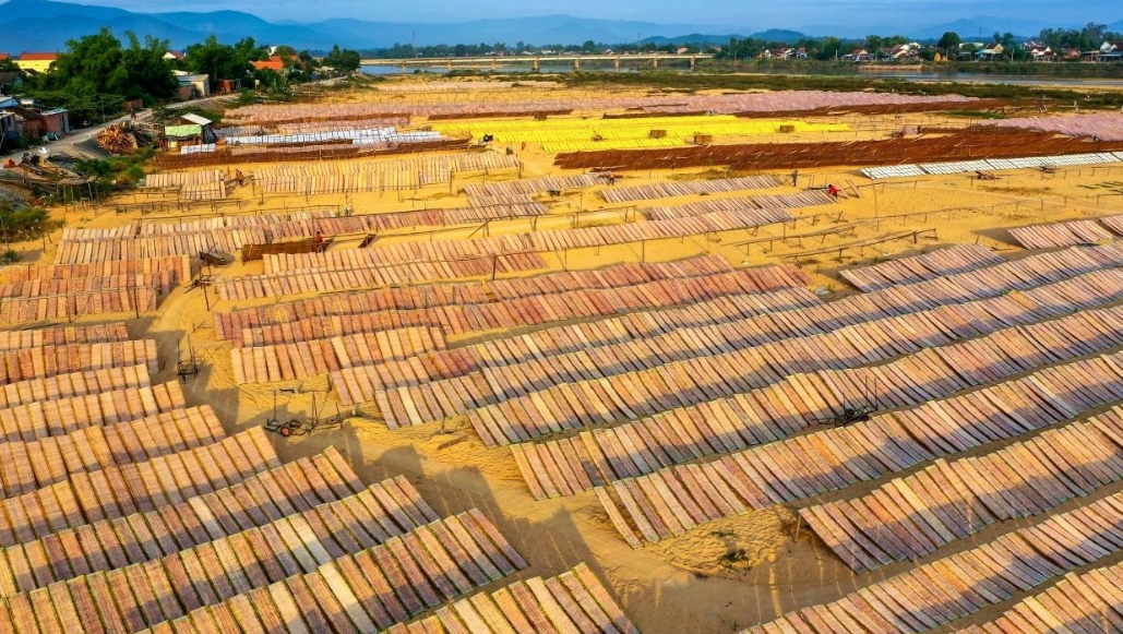 Giá bún song giao động từ 120.000 - 200.000đ/kg Tùy thuộc vào cơ sở kinh doanh