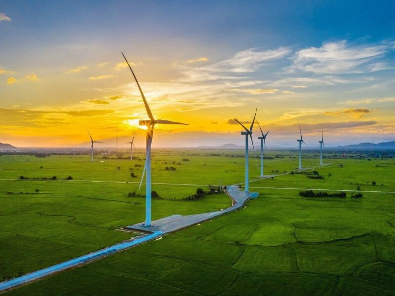 Ngắm nhìn cánh đồng cỏ xanh ngát như trời Âu ngay tại Quy Nhơn