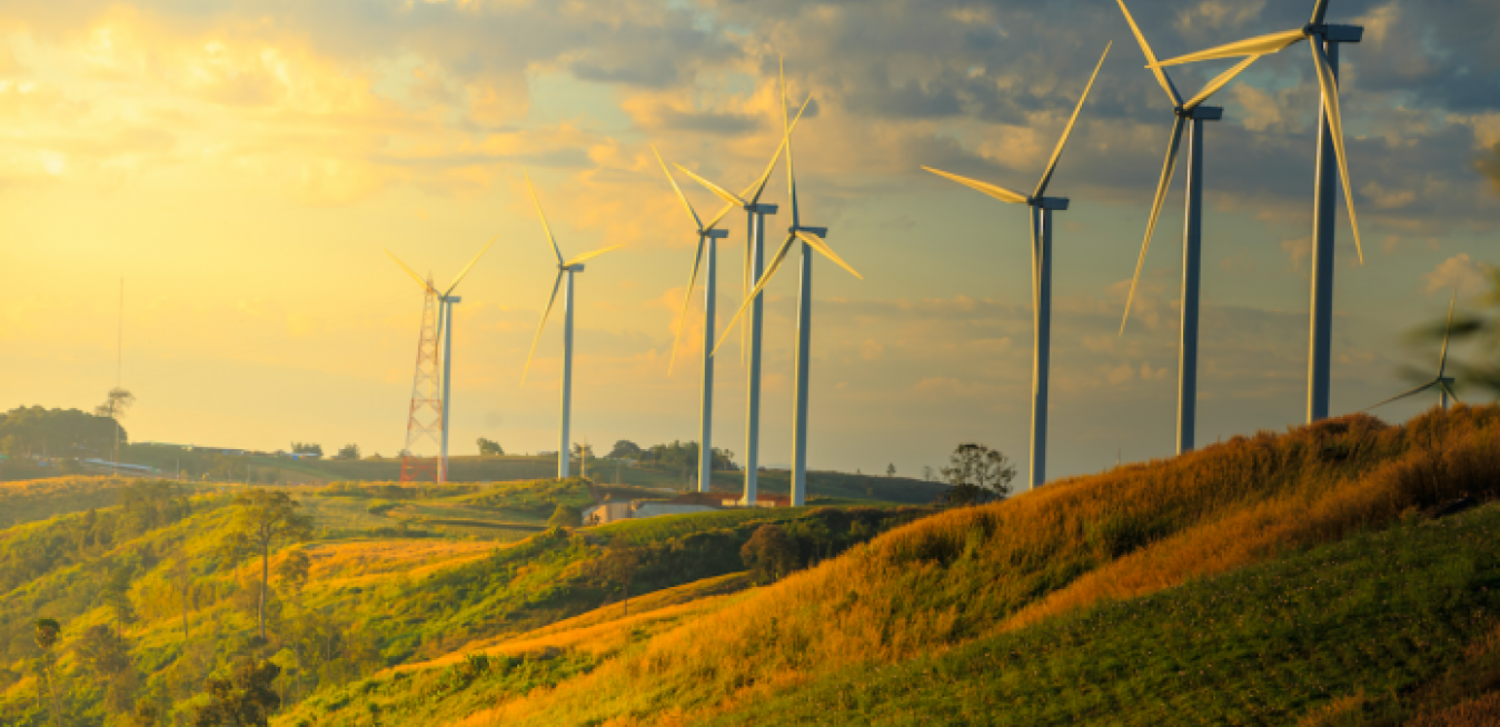 Cánh đồng điện gió tạo được sức hấp dẫn đặc biệt