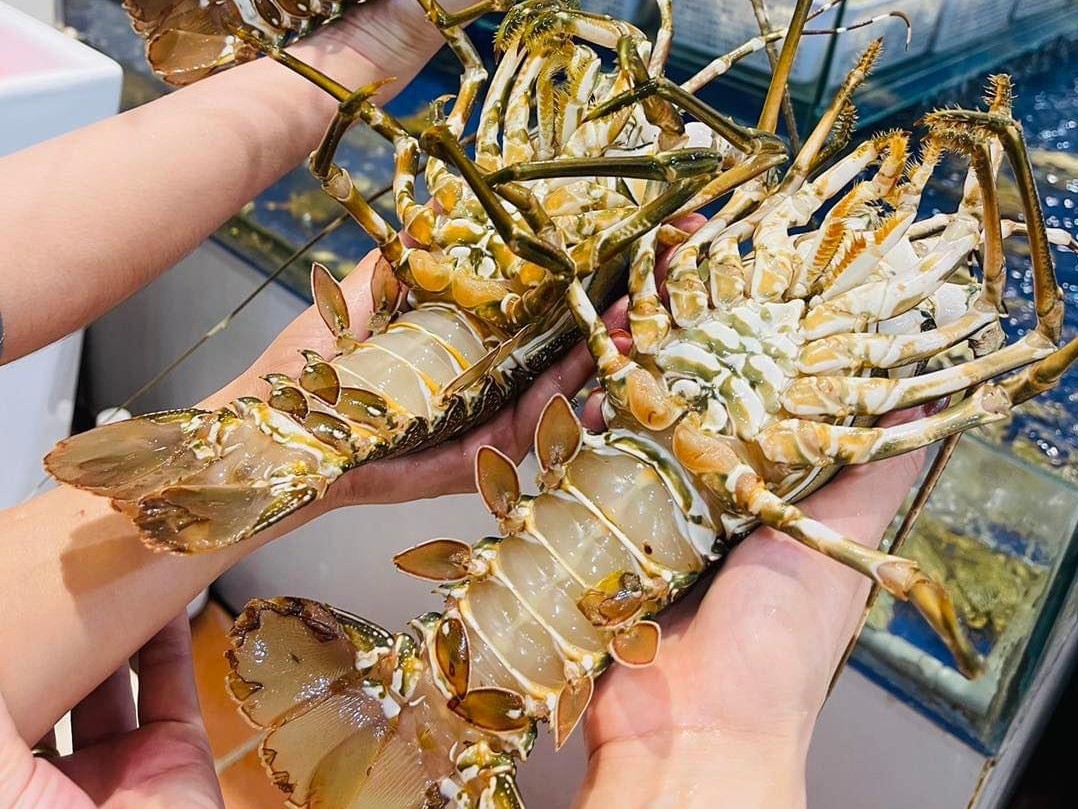 Để lựa chọn các loại hải sản tươi ngon nhất bạn cần chú ý đến thời gian hoạt động của chợ