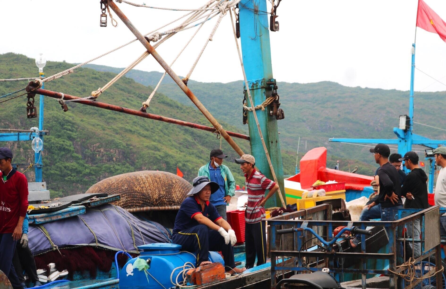 Hải sản ở Cảng cá Hàm Tử có giá phải chăng hơn so với nhiều thị trường biển Quy Nhon khác