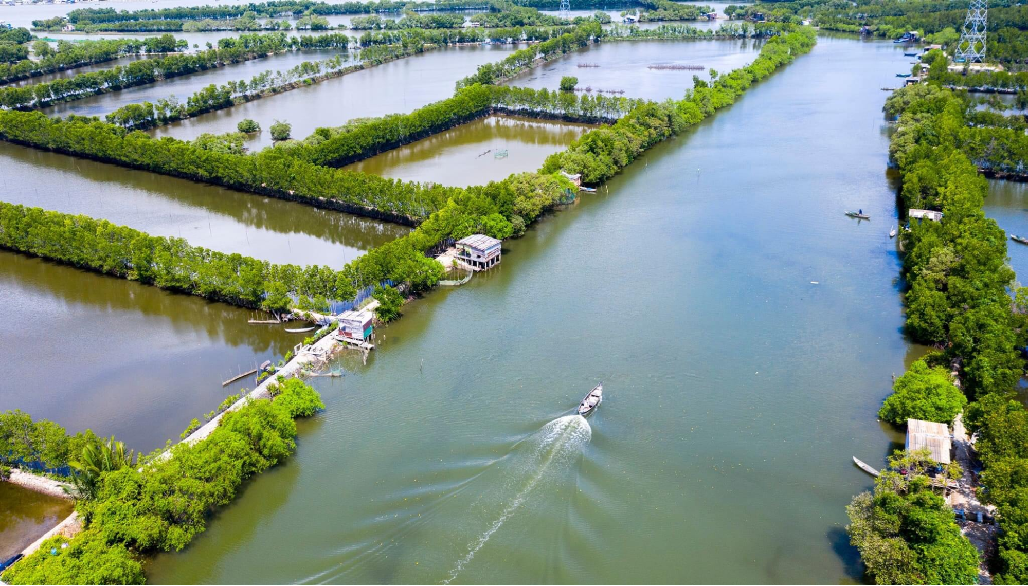 Du lịch Cồn Chim Quy Nhơn mang đến nhiều trải nghiệm thú vị