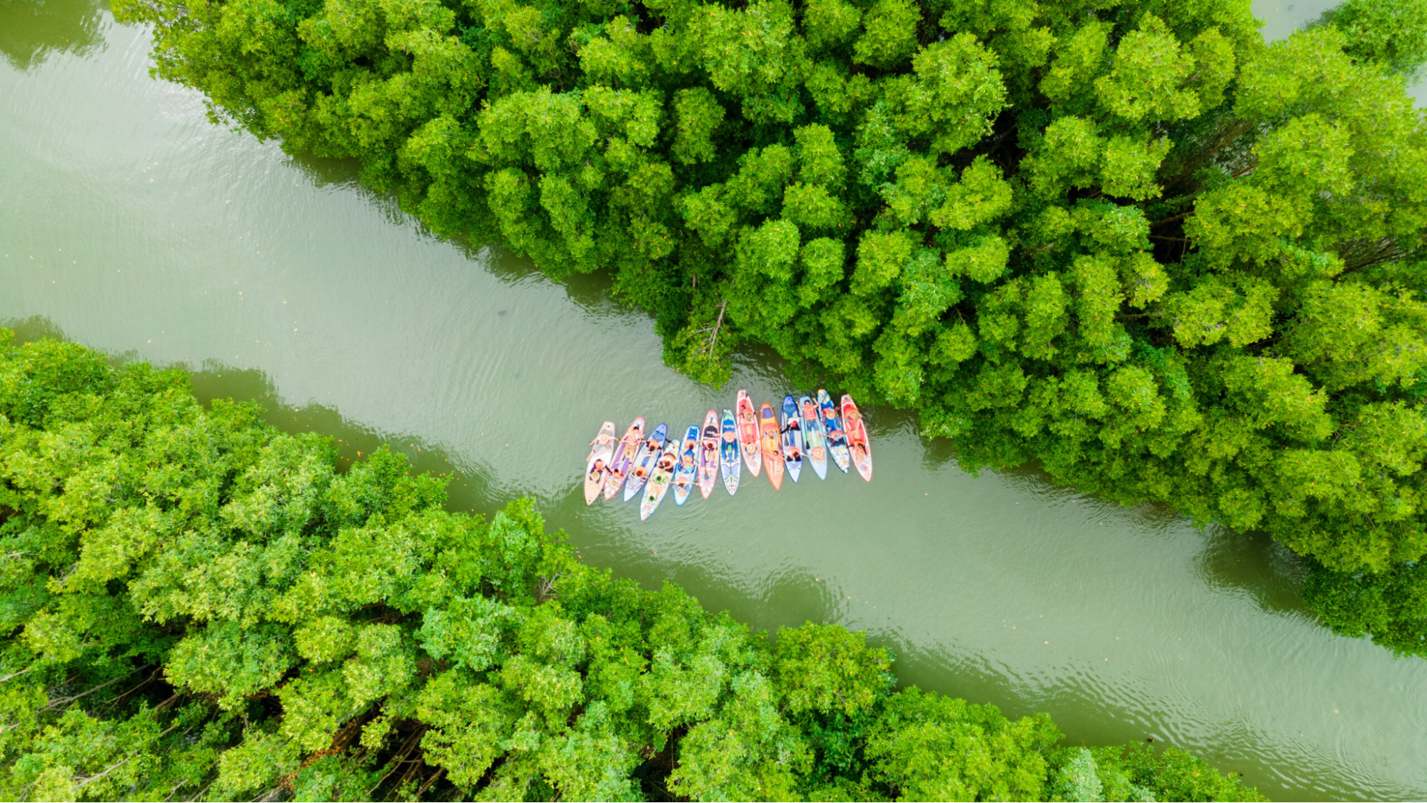 Chèo thuyền sup để ngắm cảnh thiên nhiên hoang sơ tại Cồn Chim