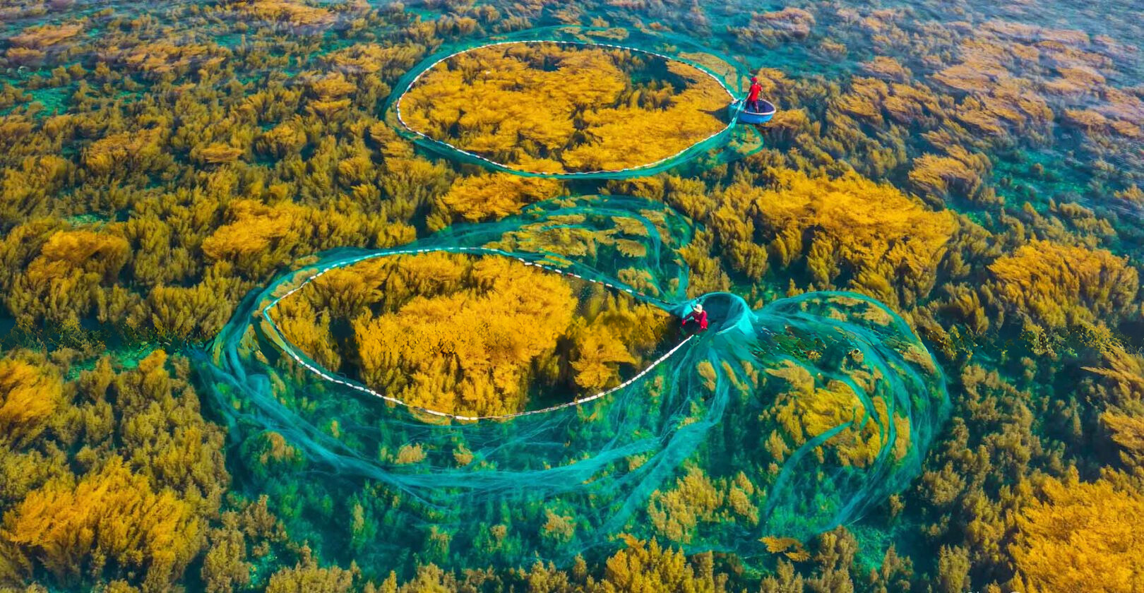 Hòn Khô Quy Nhơn mùa rong mơ đẹp tựa cổ tích