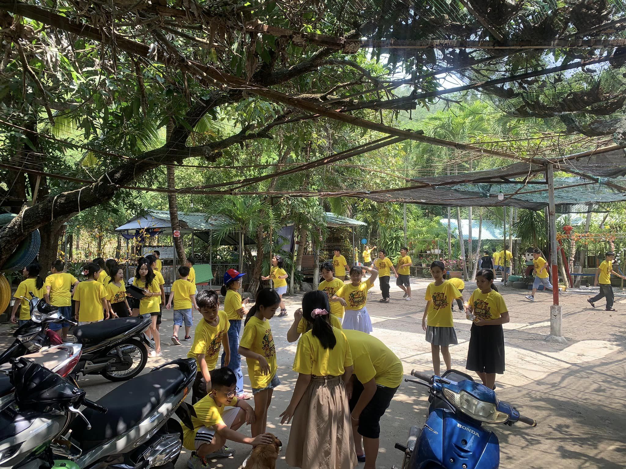 Quán sở hữu không gian thoáng đãng, rộng rãi và có nhiều cây xanh