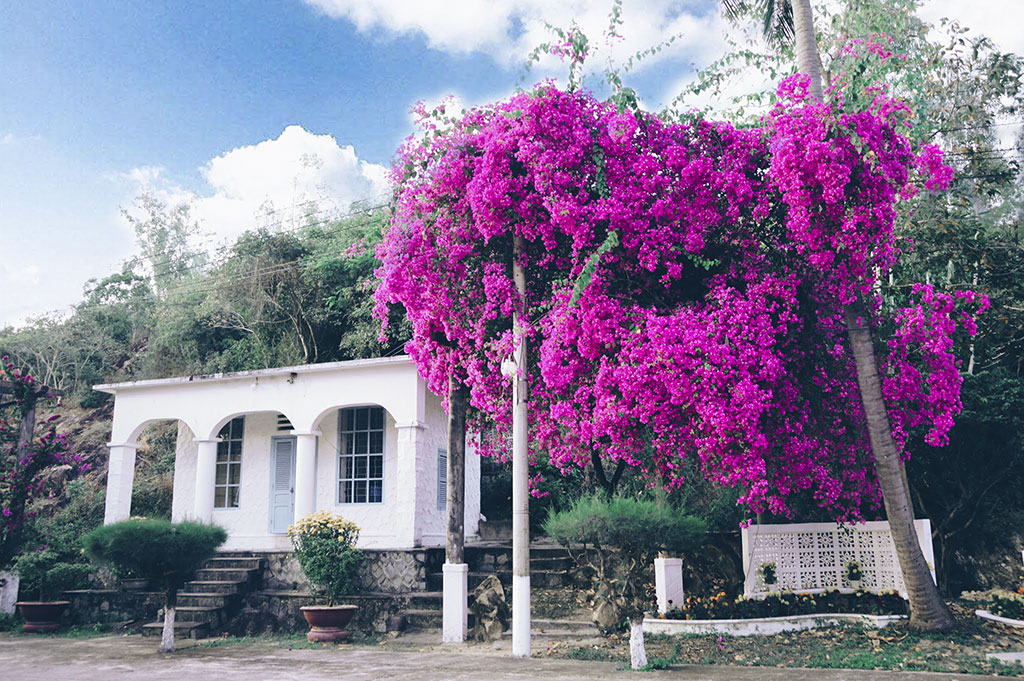 Du khách đến làng phong Quy Hòa sẽ cảm thấy thư thái, yên bình