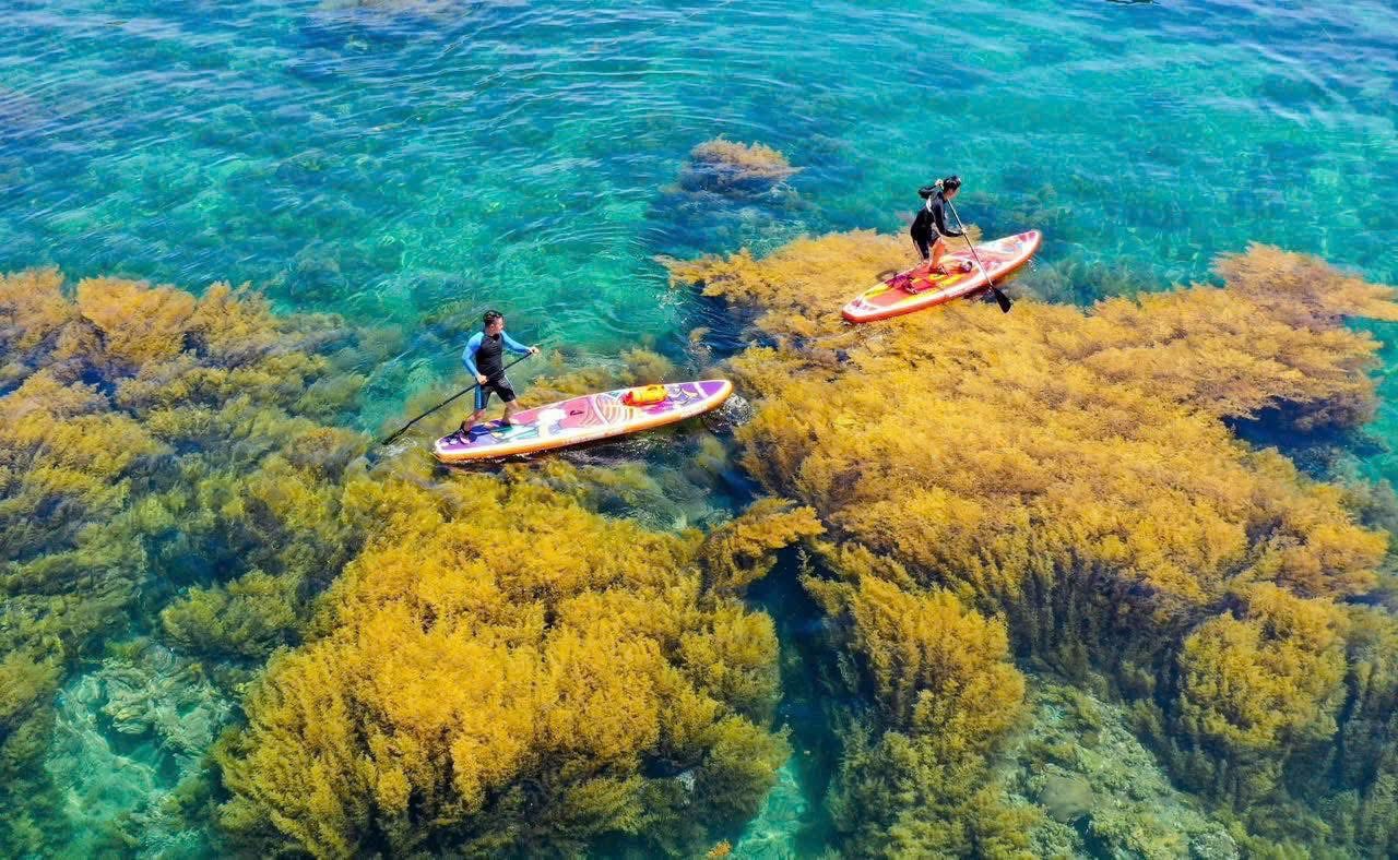 Thám hiểm thiên đường đảo Hòn Khô