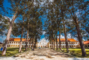 Tiểu chủng viện Làng Sông - một chứng nhân lịch sử sống động